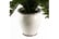 LEAF-401681692116945733