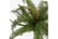 LEAF-401681692116949005