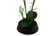 LEAF-7587-1692117006648