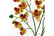 LEAF-7587-1692117008651