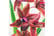 LEAF-7588-1692117060756