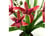 LEAF-7588-1692117064032