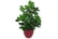 LEAF-7055-1692117120399