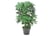 LEAF-7063.1692117124990