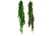 LEAF-7640-1692117187267