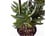 LEAF-401671692117254228
