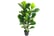 LEAF-7147-1692117276761