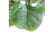 LEAF-7147-1692117278325