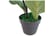 LEAF-7147-1692117279833