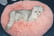 Thick-Plush-Round-Pet-Bed-4