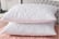 _Quilted-Bed-Pillows-Extra-Hollow-Fiber-Filled-Hotel-Quality-Quilted-Back-Pillows-2