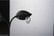 GCJ439-6.j1695730736804