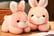 rabbit-plush-doll-1