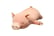 Pig-plush-Toy-2