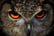 Evening Owl and Bird of Prey Experience - York Bird of Prey Centre