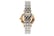 Ladies-Gianni-Two-Tone-Watch-2