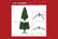 Fibre-Optic-Christmas-Tree-8