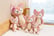 Cute-Cat-Plush-Doll-Toys-4