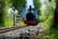 Full Day Steam Loco Driving Experience at Heatherslaw Light Railways