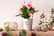 Gift-Cactus-Mini-Christmas-In-Coloured-5