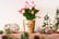 Gift-Cactus-Mini-Christmas-In-Coloured-6