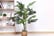 Artificial Plant Pot Tree-3