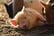 Award Winning Two Hour Piggy Pet & Play Experience at Kew Little Pigs
