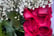 Choice of Valentines Flowers - Box and Blume 