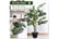 Artificial-Plant-Pot-Tree-4