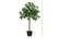 Set-of-2-Artificial-Topiary-Bay-5