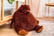 32109479-Giant-Brown-Bear-Plush-Pillow-2