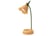 Rechargeable-LED-Flower-Desk-Lamp-8