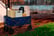 feed_opt_google_9