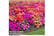 BUSY-KC8101710245660041