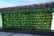 Artificial-Ivy-Hedge-Privacy-Screen-4