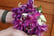 Fuchsia-Giant-Plants-3
