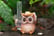 33068312-Rain-gauge-owl-ornament-1