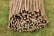 Willow-Fence-Screen-Roll-4