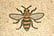 Manchester bee mosaic