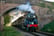 Bluebell Railway Tickets - See Sussex Scenery! - Family Tickets