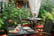 breakfast-garden-terrace