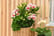 ALST_2