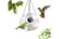 Smart-Bird-House-and-Feeder-5