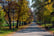 Trees with autumn leaves on an alley in a city park. The largest park Borisova gradina