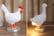 Resin-Funny-Chicken-or-duck-1