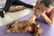 1 Hour Puppy Yoga Class For 1 or 2 – Barepaw Yoga, Elephant & Castle