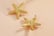 Gold-Starfish-Earrings-3