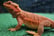 reptizoo image 3