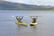 kayaks-single