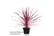 CORD_CHARL1726148034256